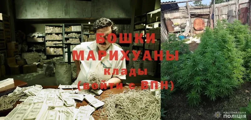 Каннабис Ganja  Руза 